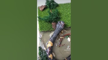 l made a snake diorama