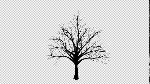 Growing Tree Silhouette | Motion Graphics - Envato elements