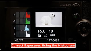 Getting the Correct Exposure on Panasonic Lumix Bridge Cameras