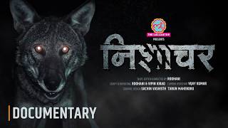 The DEADLY Truth About Wolf Attacks in Uttar Pradesh | Documentary | Nishachar