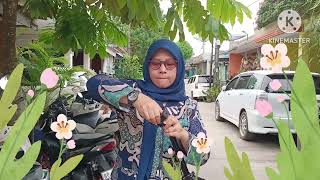 Tugas 3, Produksi Media Audio dan Video