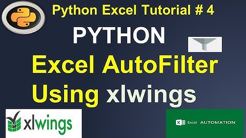 Python Excel Automation: Excel Auto Filter using Python xlwings #4