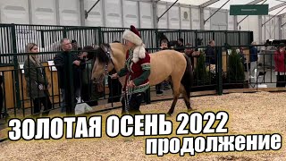 Закончилась Выставка Золотая осень2022/ Побывал на экспозиции Великой Отечественной войны