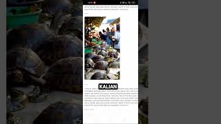 tutorial membuat vidio ai pakai (google ai studio) gratis #fypシ #ai #gemini #tutorial