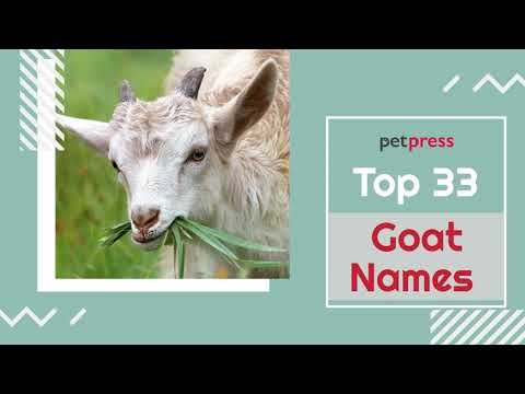 Video: How To Name A Goat