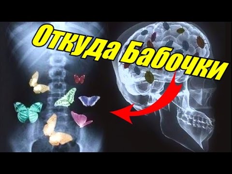 ОТКУДА БАБОЧКИ В ЖИВОТЕ [BrainShow]