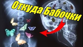 ОТКУДА БАБОЧКИ В ЖИВОТЕ [BrainShow] Resimi