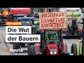 Die Wut der Bauern | ZDF spezial image