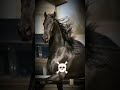 Cute horse vs Scarry Horse || #horse