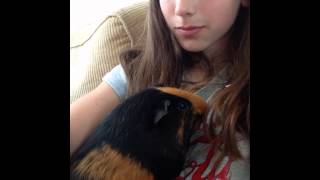 Introducing Ella. My slideshow