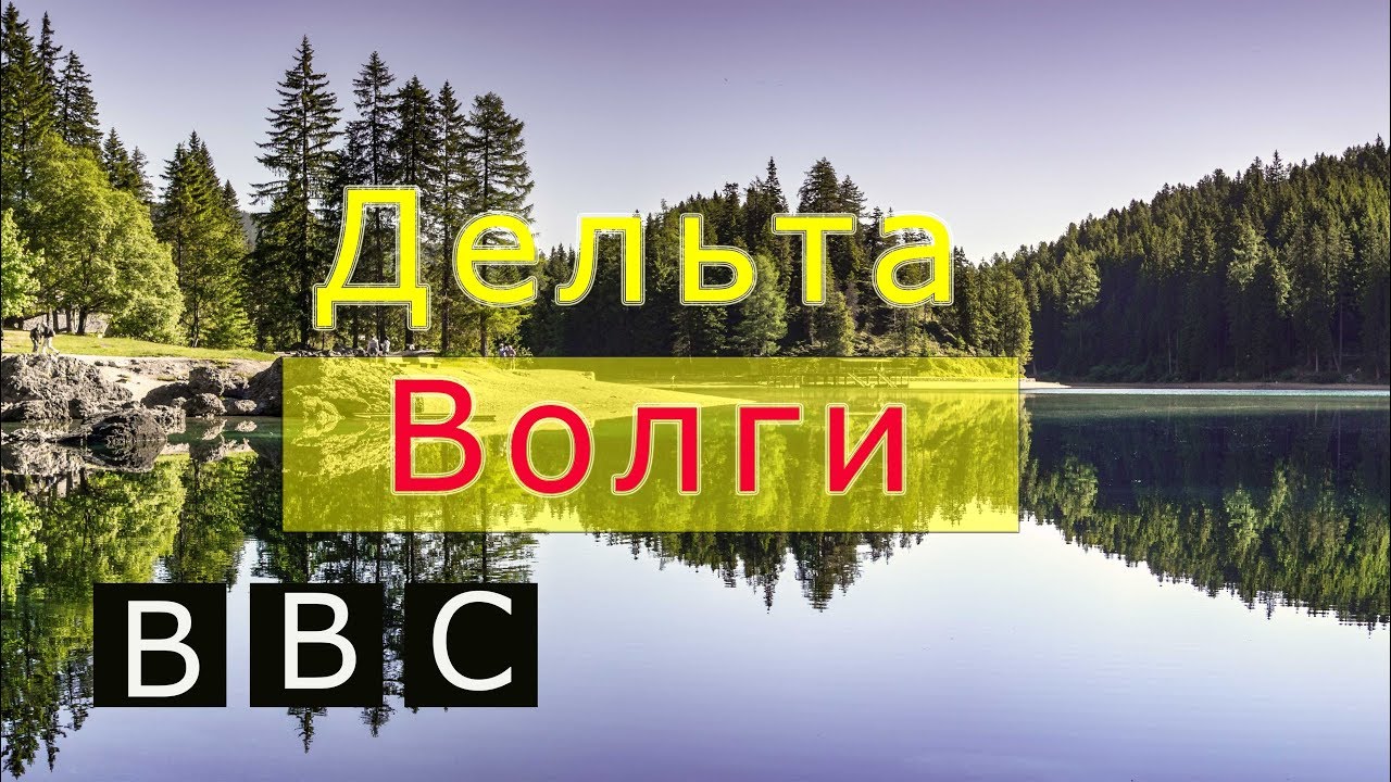 Дельта волги картинки