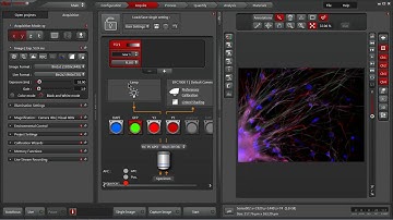 Leica LAS X Software Interface: Quick Overview (Widefield)