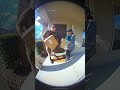 The Double Delivery Confusion 📦📦