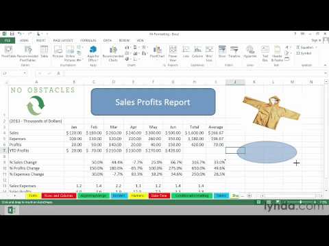 31 Microsoft Excel 2013 Essential Training Tutorial Inset Values - YouTube