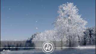 Nico Rengifo - Heridas