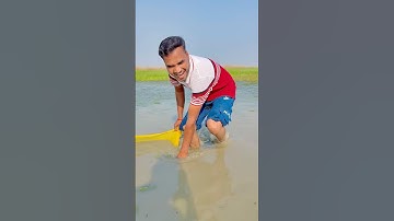 Teri Sari Wish ❤️| #shorts |#viralvideo |#trending |#song |#comedy