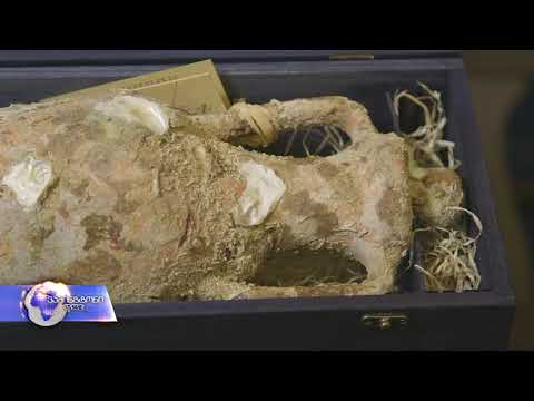 ხორვატი მეღვინეები ღვინოს ზღვის ფსკერზე აძველებენ