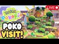 Visiting INSANE Player Islands in Pokopia | Live
