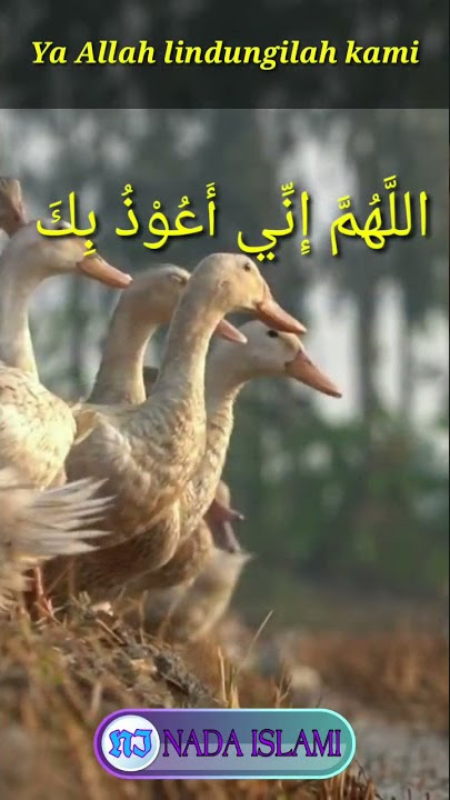 Lagu islami terbaru || Ya Allah lindungilahlah kami #shorts