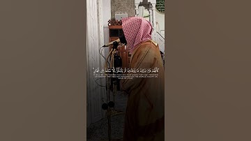 سورة الأحقاف | أحمد صابر الغامدي