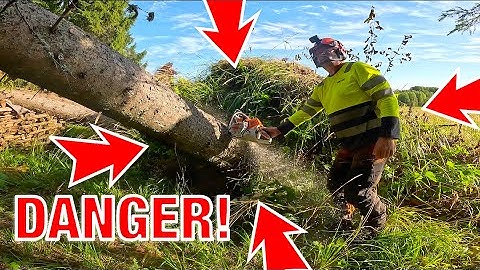 HungUp Trees Are No Joke -This Is Why!