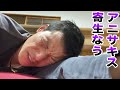 アニサキスに寄生された男の末路...（ガチ）