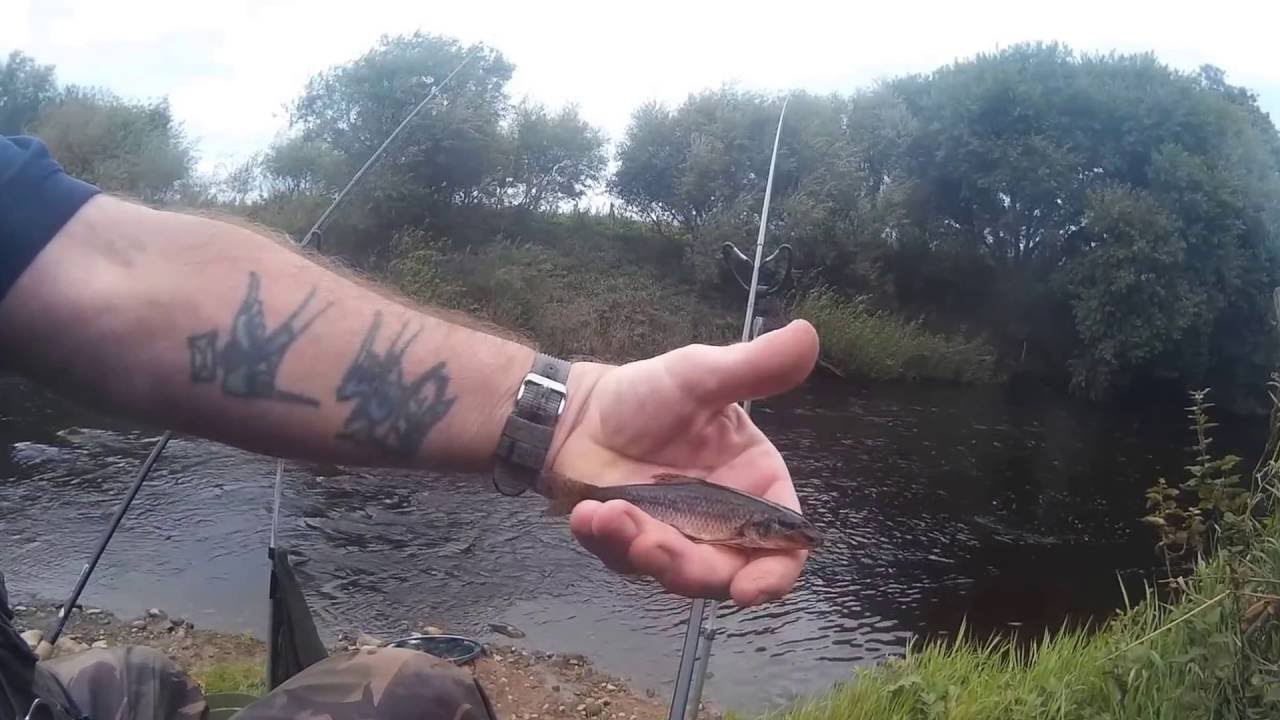 River Swale fishing Sept 2016 YouTube