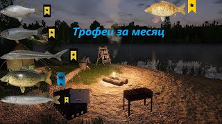 #РР4 Трофеи за месяц. Редкие трофеи, призраки и многое другое )