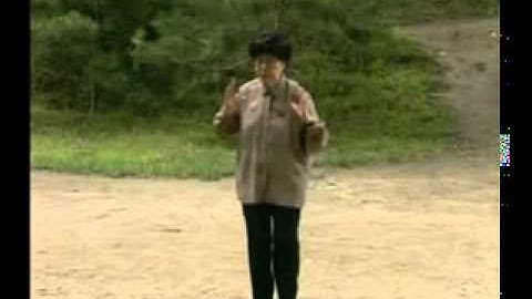 Taiji   Sun Style Sun Jianyun 孫式太極 孫劍雲