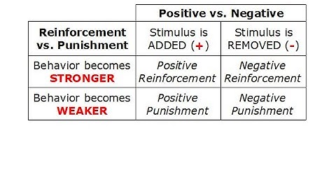 PSYC 370 Video Lecture - The Four "Types" of Operant Conditioning