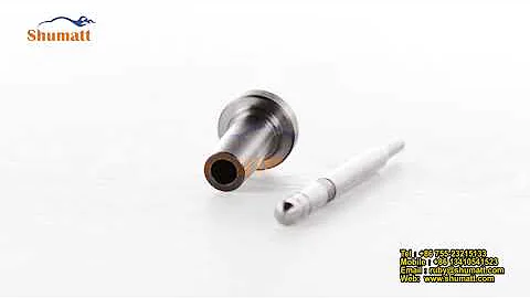 China made new | valve assembly | F00RJ00339 | hot sell | high quality