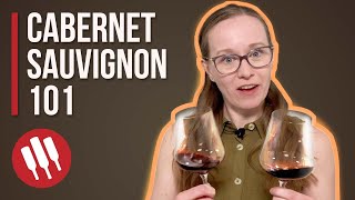 Cabernet Sauvignon (Everything You Need To Know) | Grapes 101