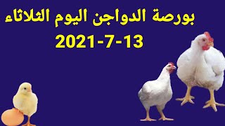 اسعار الدواجن اليوم الثلاثاء13-7-2021