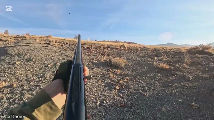 2024-2025 KEKLİK AVLARI-VURUŞLARI (SEÇME AVLAR MÜKEMMEL) partridge hunts охота на зайца на куропатку