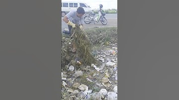 Hard Cleaning Unclog Culvert Pipe Abandoned #cleaning #shorts #satisfying #unclog #real