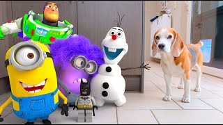 Animations in REAL LIFE vs Funny Dogs  | Angry Birds  LEGO  Minion