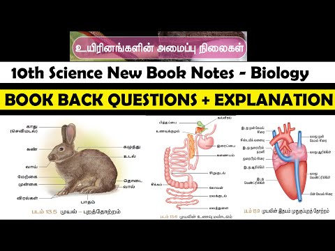 உயிரினங்களின் அமைப்பு நிலைகள் -10th new book science- biology