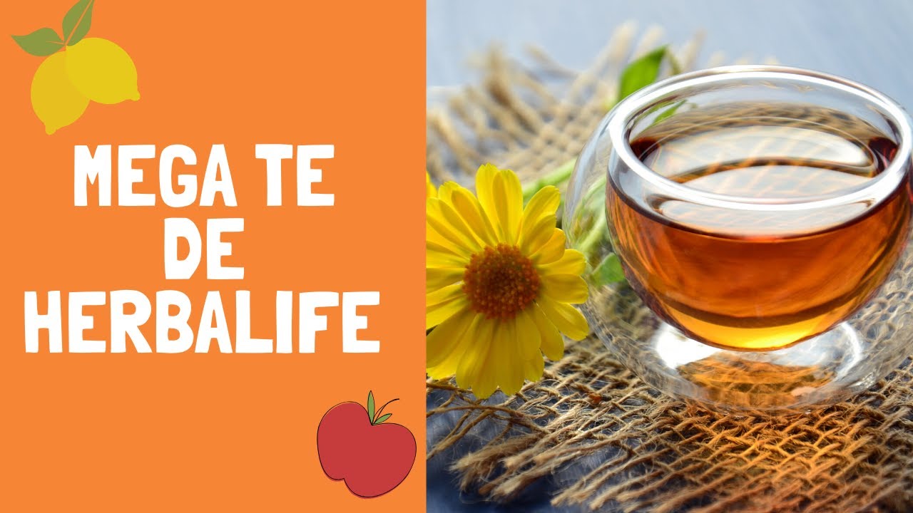 Como Hacer un MEGA TE de HERBALIFE YouTube