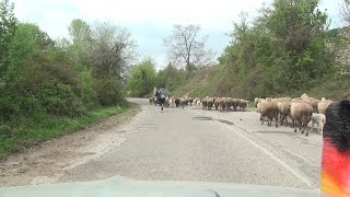 видео: Perunika Перуника Pelin Пелин Rogach Polkovnik Zhelyazovo Полковник Желязово Krumovgrad Крумовград 5 картинка: Perunika Перуника Pelin Пелин Rogach Polkovnik Zhelyazovo Полковник Желязово Krumovgrad Крумовград 5
