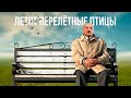 ПРОЦИШИН ОФІЦІЙНИЙ - ЛЕТЯТ ПЕРЕЛЁТНЫЕ ПТИЦЫ