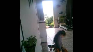 A Tia Só De Calcinha...