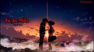 Tu Jo Mila Lo-Fi Song | Tu Jo Mila No Copyright Song | Bajrangi Bhaijaan | CFBGM