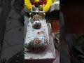 Shiv Tandav Stotram | Har Har Mahadev #devotional #yt #viral #song #shiv  #shiv #new #trending #love