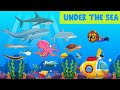 Under the sea  phonetic  farm theme  a to z  english rhyme  supercubs international playschool