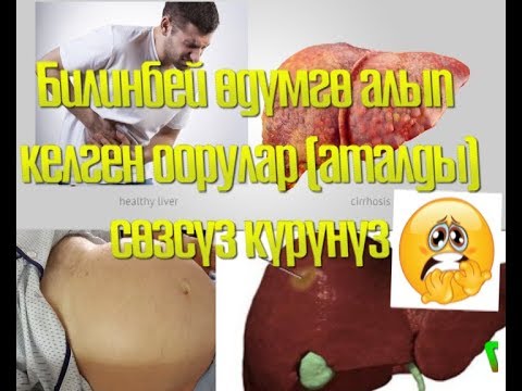 Video: Эмне үчүн мышыктарды кастрациялоо керек