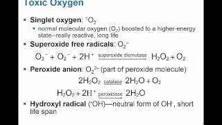 MicroShorts Oxygen & Death