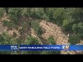 More Than 17,000 Marijuana Plants Seized In Navarro County More Than 17,000 Marijuana Plants Seized In Navarro County