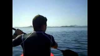 Viaje en Kayak a Isla Perdiguera