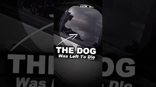 Celebrity Dog Was Crying In A Locked Car Until Officers Stepped In Profile