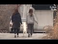 Womanizer Dog Caught Having An Affair With Numerous Dogs (Part 2) | Kritter Klub